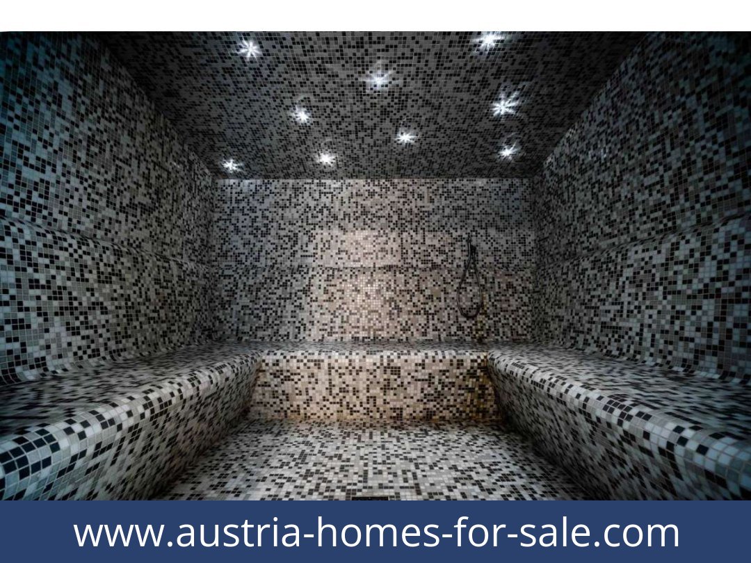 austria-homes-for-sale-ebene reichenau-9565-20251202004908-0044001010.jpg